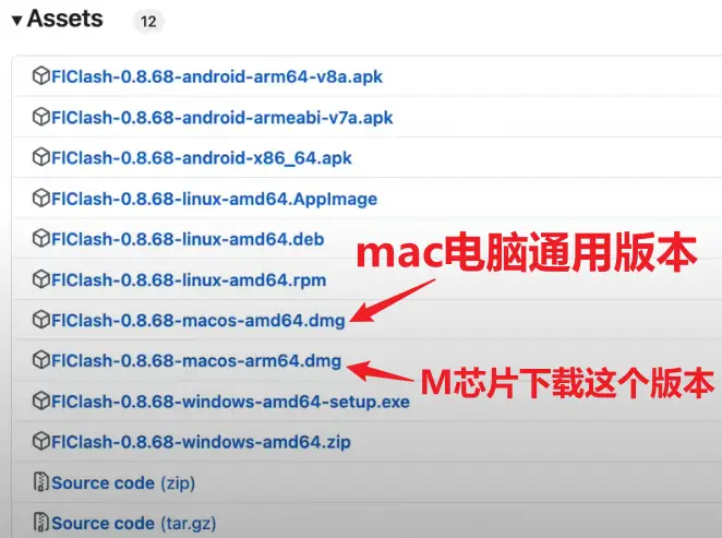 零失败!教你用FLClash,轻松在macOS上科学上网! 1 download flclash